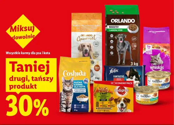 Sucha karma dla kota Whiskas promocja w Lidl