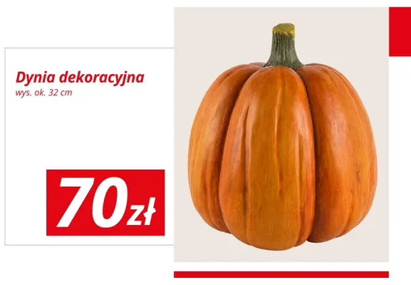 Dynia dekoracyjna wys. ok. 32 cm promocja w KiK