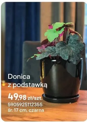 Doniczka z podstawką promocja w Castorama