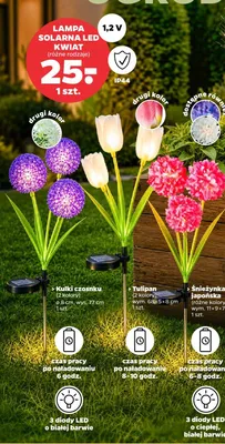 Lampa solarna LED kwiat promocja w Netto