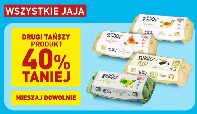 Jaja ściekowe M promocja w Aldi
