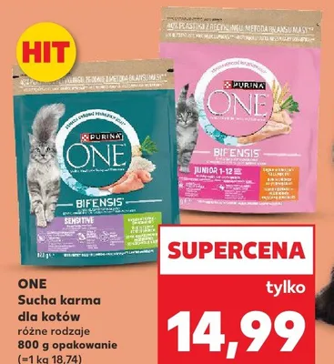 Sucha karma dla kotów ONE Bifensis Junior 1-12 promocja w Kaufland