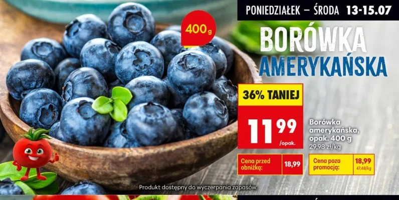 Borówka amerykańska promocja w Biedronka