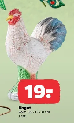 Kogut promocja w Netto