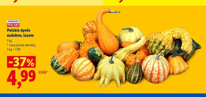 Polskie dynie ozdobne luzem promocja w Lidl