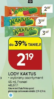 Lody Kaktus Froneri wybrany asortyment promocja w Chata Polska
