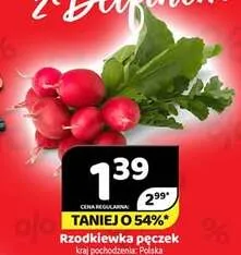Rzodkiewka pęczek Polska promocja w Delfin