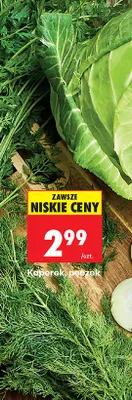 Koperek pęczek promocja w Biedronka