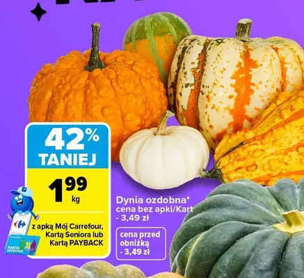 Dynia ozdobna promocja w Carrefour