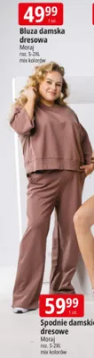 Bluza damska dresowa Moraj roz. S-2XL mix kolorów promocja w Leclerc