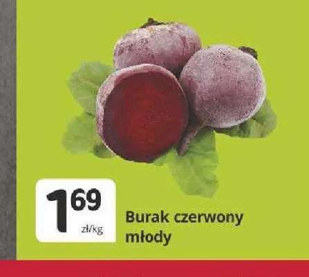 Burak czerwony młody promocja w Marketvita