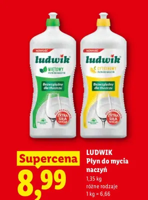 Płyn do mycia naczyń Ludwik miętowy promocja w Lidl