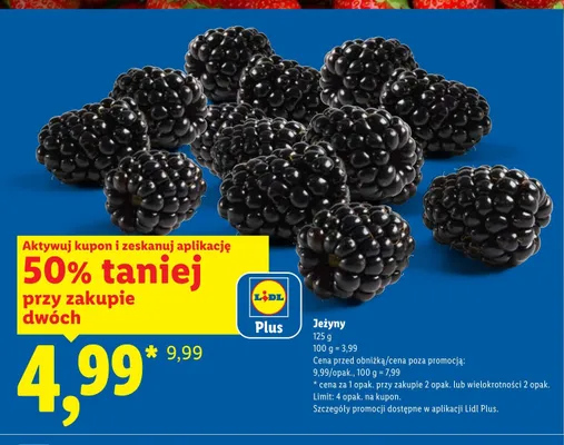 Jeżyny promocja w Lidl