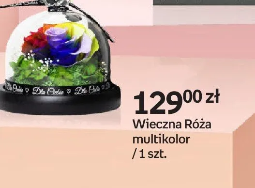 Wieczna Róża multikolor promocja w Empik