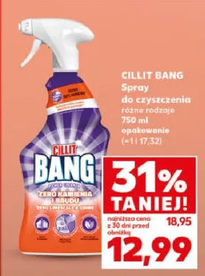 Spray do czyszczenia różne rodzaje promocja w Kaufland