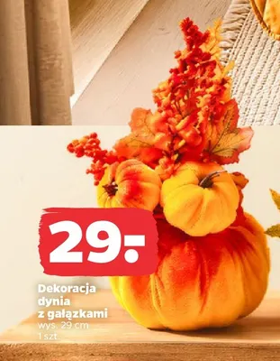 Dekoracja dynia z gałązkami promocja w Netto