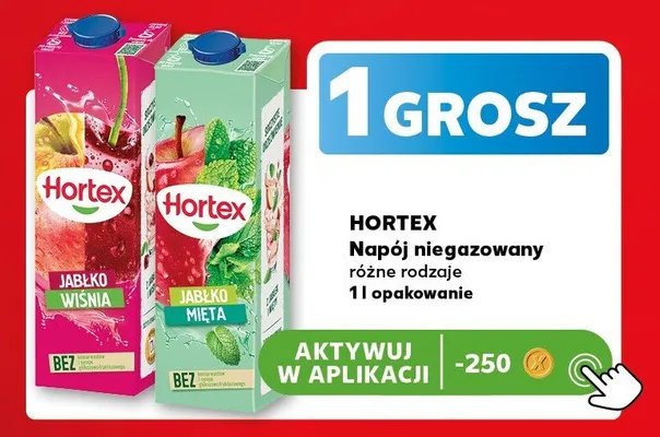 Napój niegazowany Hortex Jabłko Mięta promocja w Kaufland