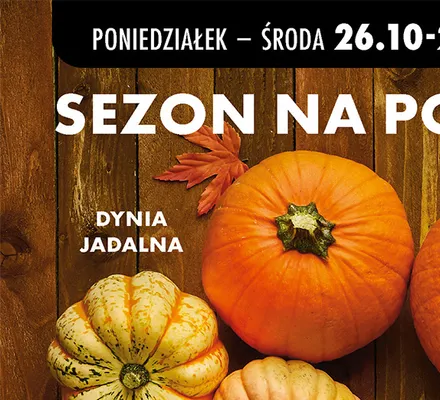 Dynia jadalna promocja w Biedronka