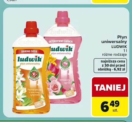 Płyn uniwersalny Ludwik wiosenny ogród promocja w Carrefour Express
