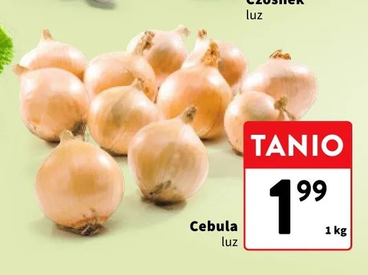 Cebula promocja w Intermarche