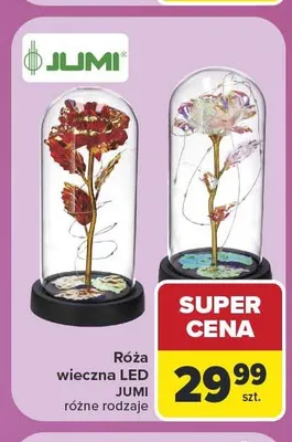 Róża wieczna LED Jumi promocja w Carrefour