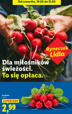 Rzodkiewki promocja w Lidl