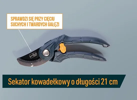 Sekator kowadełkowy o długości 21 cm promocja w Biedronka