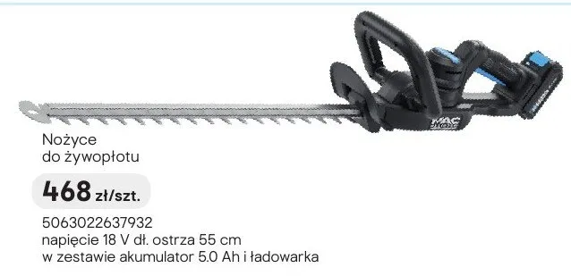 Nożyce do żywopłotu promocja w Castorama