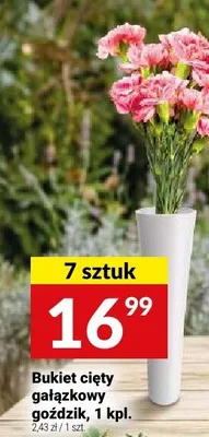 Bukiet cięty gałązkowy goździk promocja w Twój Market