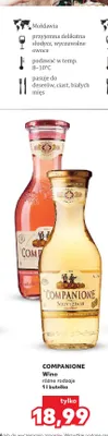 Wino białe Companione Sauvignon promocja w Kaufland
