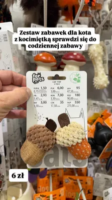 Zestaw zabawek dla kota For Pets z kocimiętką promocja w Pepco
