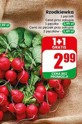 Rzodkiewka promocja w Dino