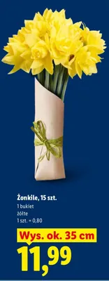 Żonkile, 15 szt., żółte promocja w Lidl