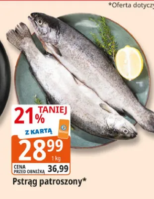 Pstrąg patroszony promocja w Leclerc