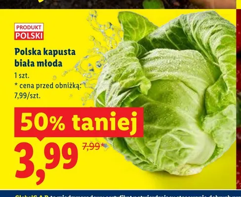 Polska kapusta biała młoda promocja w Lidl