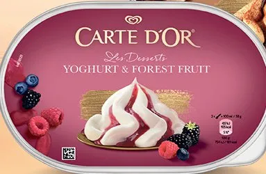 Lody familijne CARTE D'OR Yoghurt & Forest Fruit promocja w Biedronka