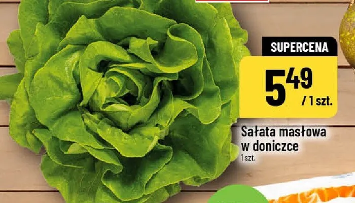 Sałata masłowa w doniczce promocja w POLOmarket