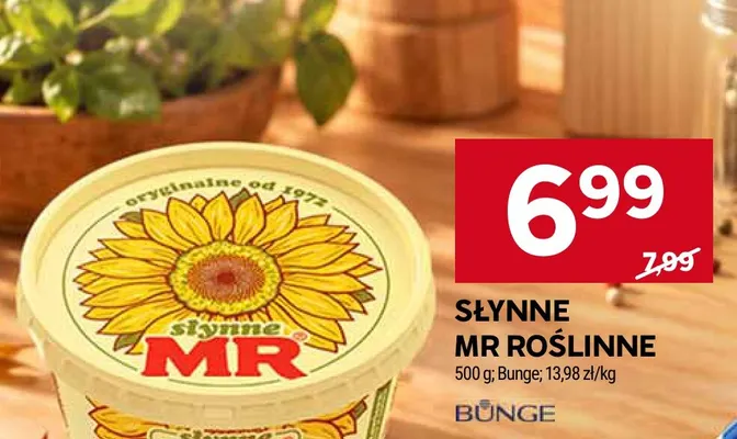 Słynne MR Roślinne promocja w Stokrotka