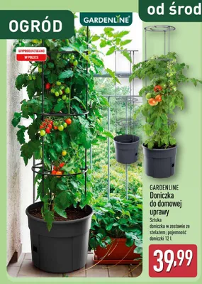 Doniczka do domowej uprawy promocja w Aldi