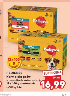 Karma dla psów Pedigree promocja w Kaufland