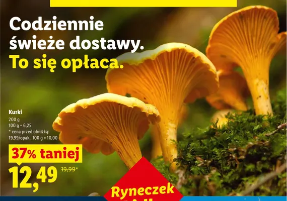 Kurki promocja w Lidl