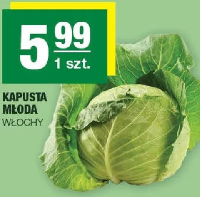 Kapusta młoda promocja w SPAR