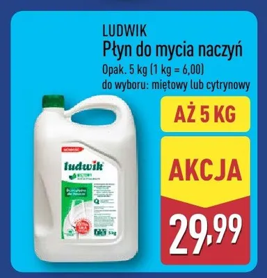 Pełny katalog!, strona 6 promocja w Aldi