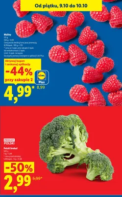Brokuł polski promocja w Lidl