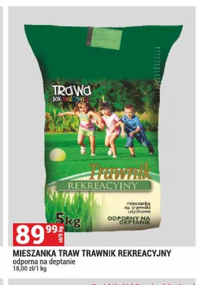 Mieszanka traw Trawnik Rekreacyjny Trawa jak malowana promocja w Merkury Market