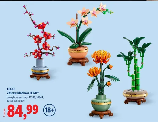 Zestaw klocków  promocja w Lidl