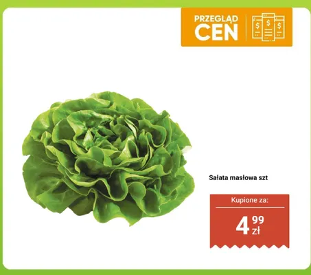 Sałata masłowa 1 szt. promocja w Dino