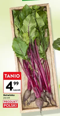 Botwinka pęczek promocja w Intermarche