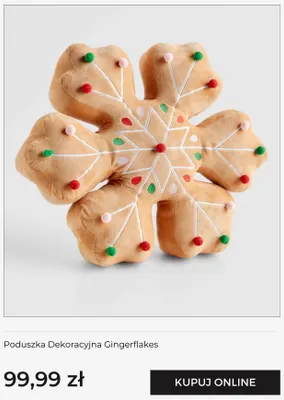 Poduszka dekoracyjna Gingerflakes Home & You promocja w home&you