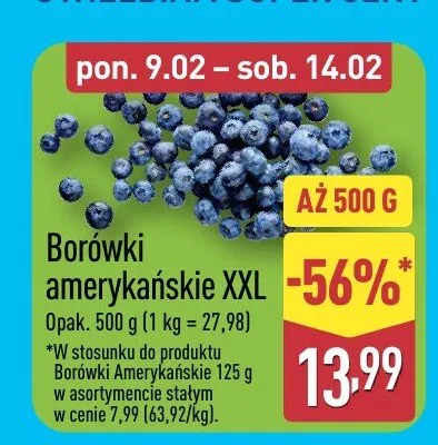 Borówki amerykańskie XXL promocja w Aldi